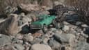 Axial SCX24 Deadbolt — 1/24 scale 4WD RC crawler (4 mph) thumbnail 2